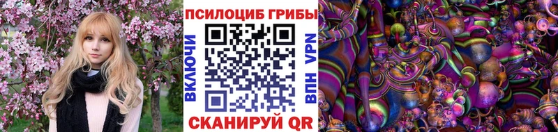 Псилоцибиновые грибы Magic Shrooms  сколько стоит  Чкаловск 